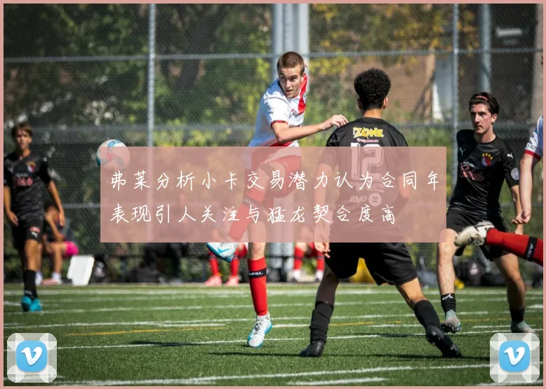 弗莱分析小卡交易潜力认为合同年表现引人关注与猛龙契合度高